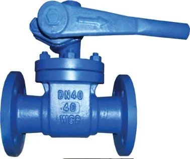 Blowdown Valve